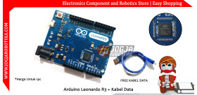 Arduino Leonardo Compatible