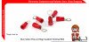 Skun Sekun RV3.5-6 Ring Insulated Terminal-RED