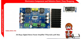 XH-M542 1 x 100W Digital Mono Power Amplifier TPA3116D2 TPA3116