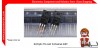 RJP63K2 TO-220F N-Channel IGBT