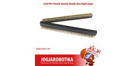 2x40 Pin Female Header Double Row Right Angle (2.54 mm)