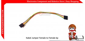 Kabel Jumper Female to Female 6p 20cm