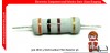 300 Ohm 5 Watt Carbon Film Resistor