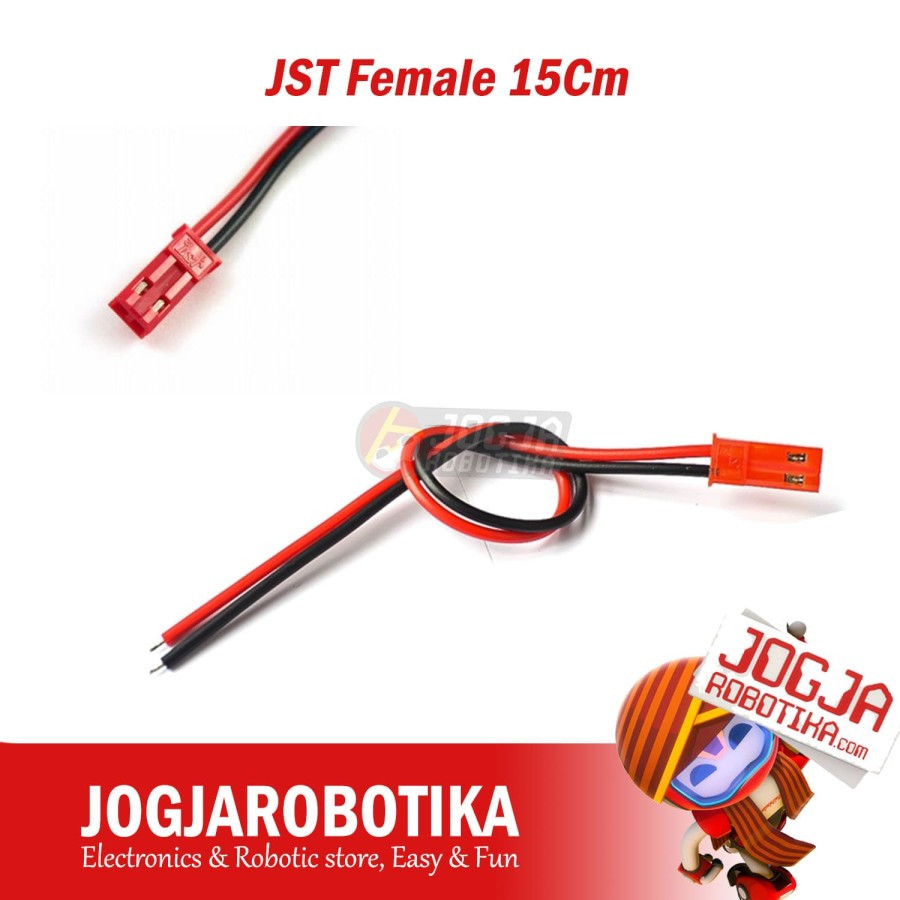 JST Female 20Cm