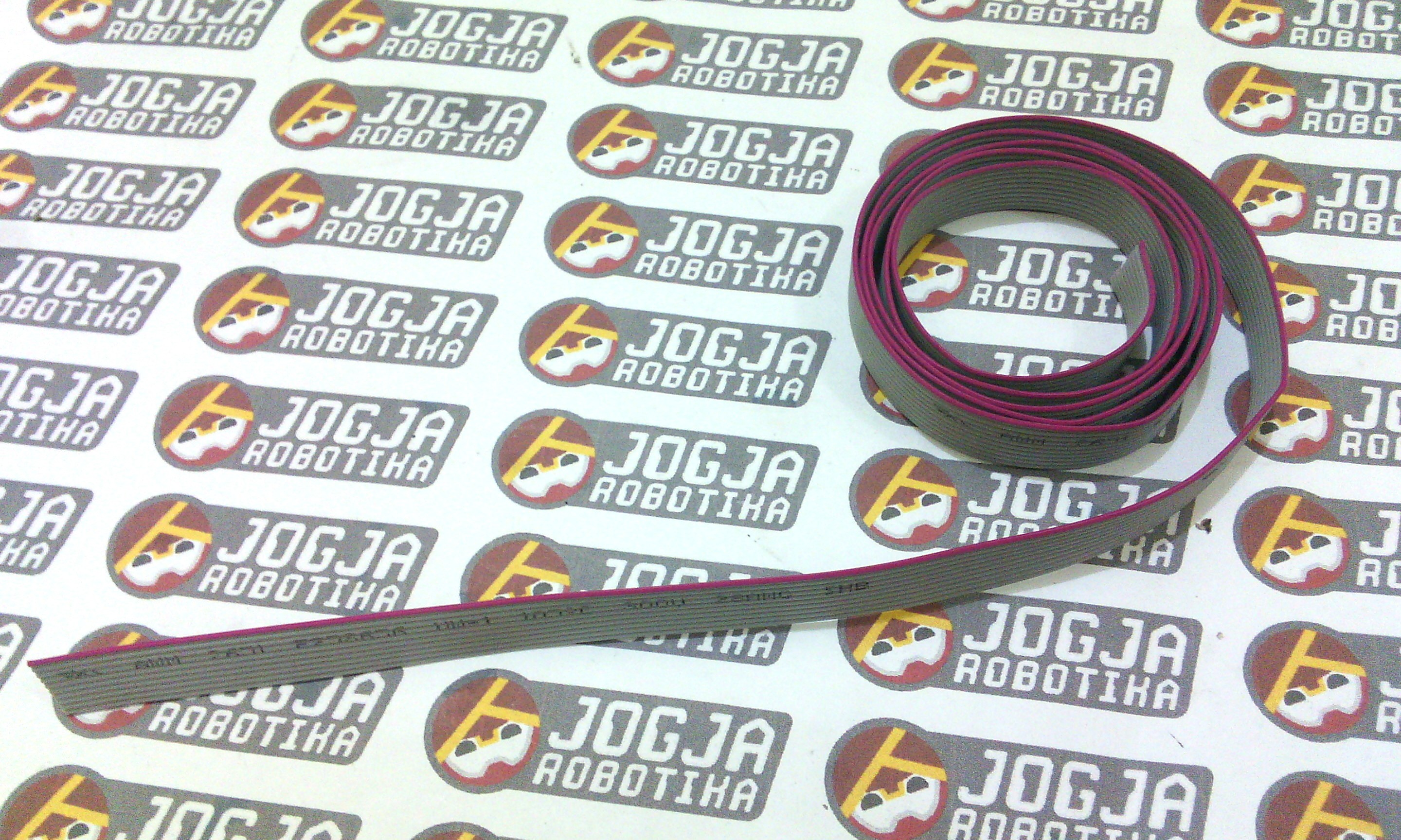 Kabel Flat 10 Pin
