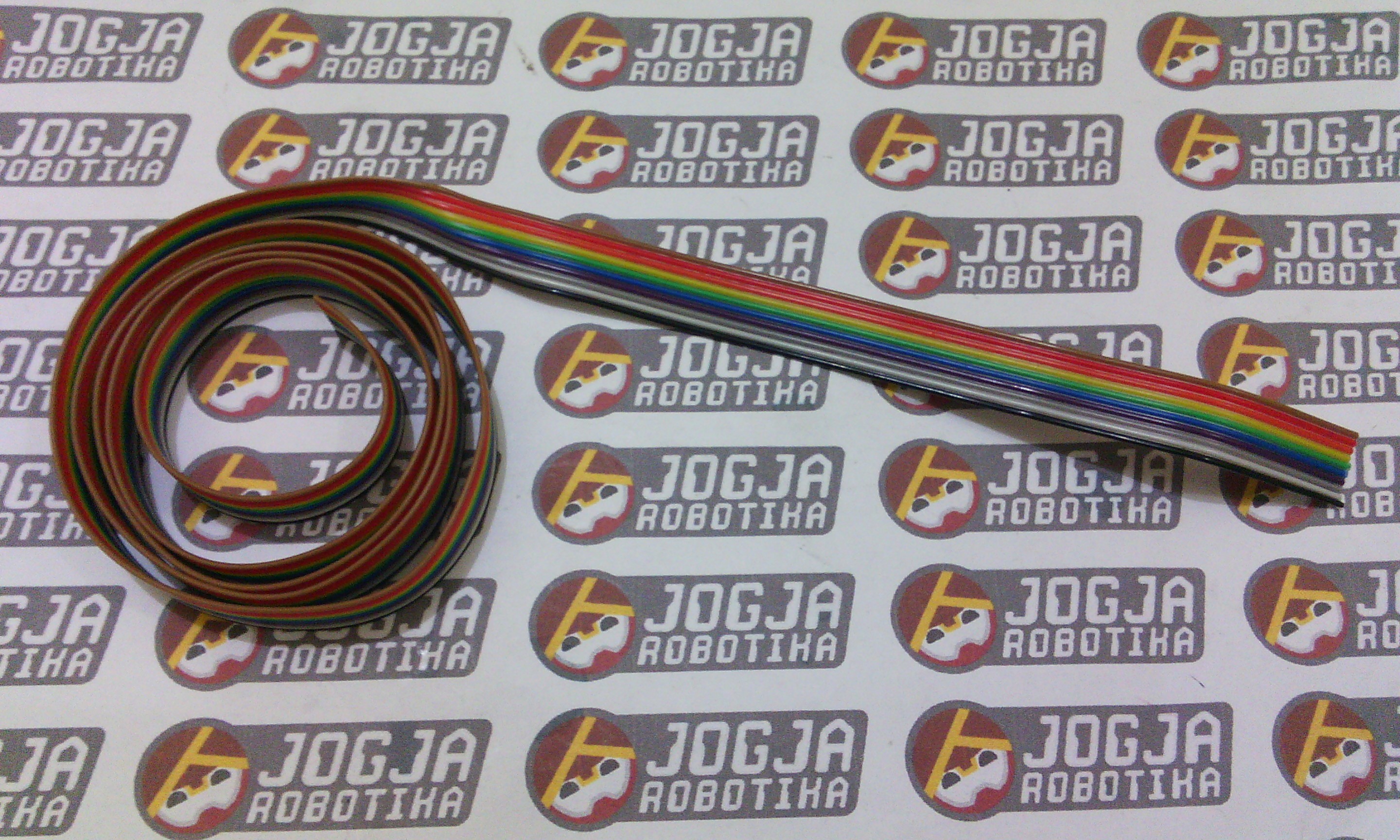 Kabel pelangi 10 Pin
